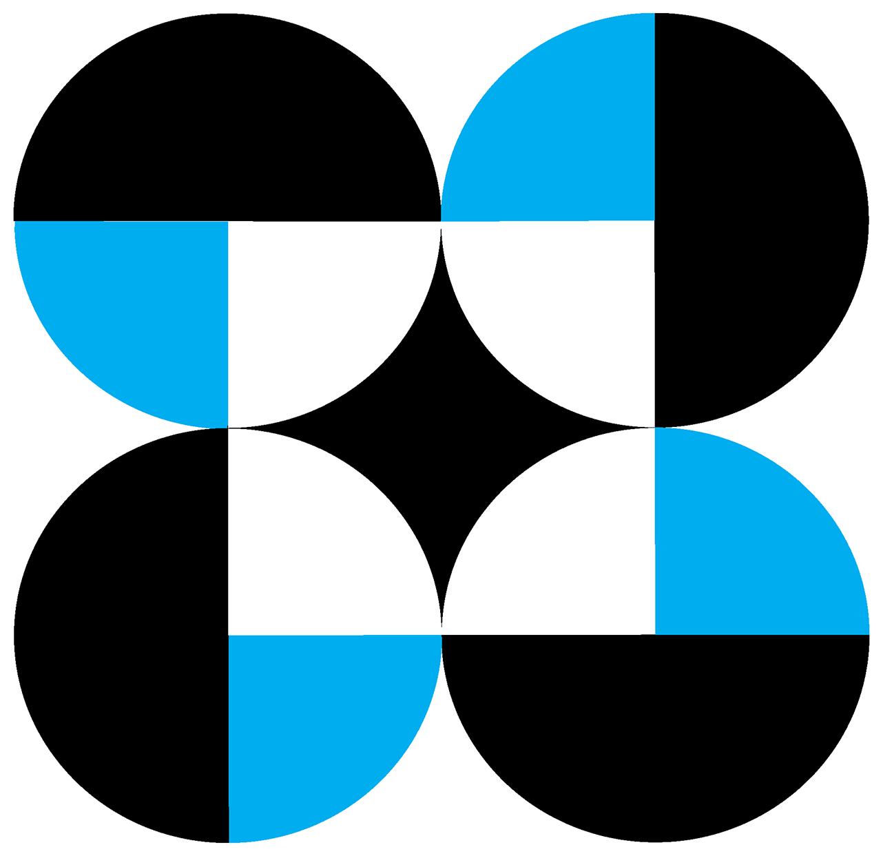 BIDDA Logo